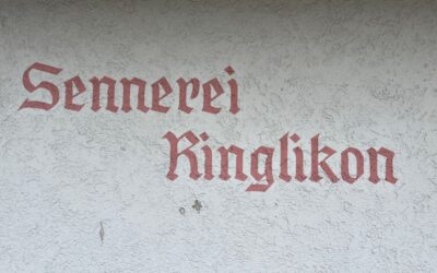 Mai – Juli 2025 Hausumbau Uitikon